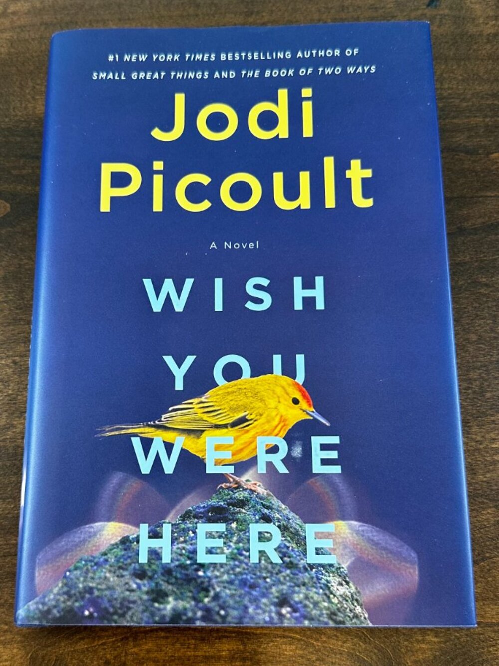 Wish You Were Here by Jodi Picoult - Hardback - NEW